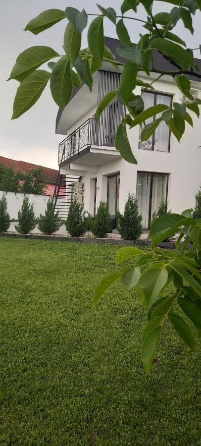 Accent Garden Daire Deva Dış mekan fotoğraf